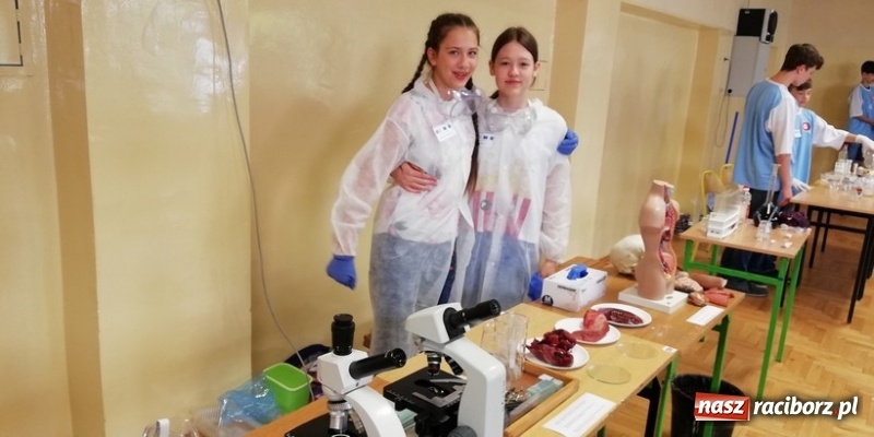 Zdjęcie w galerii na portalu naszraciborz.pl: Wspólna nauka drogą do sukcesu. Uczniowie szkoły na Ostrogu realizowali projekt międzynarodowy wiadomości z regionu