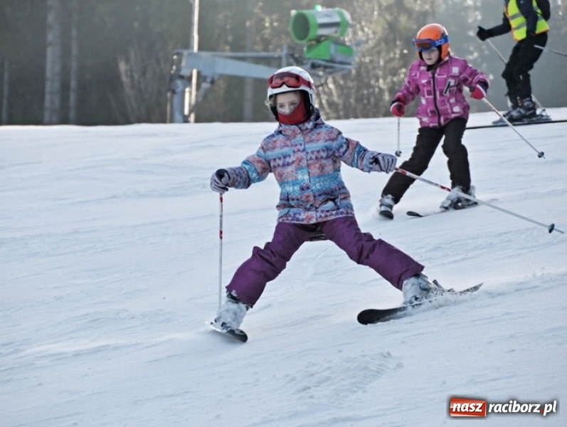 Zdjęcie w galerii na portalu naszraciborz.pl: Wspólna nauka drogą do sukcesu. Uczniowie szkoły na Ostrogu realizowali projekt międzynarodowy wiadomości z regionu