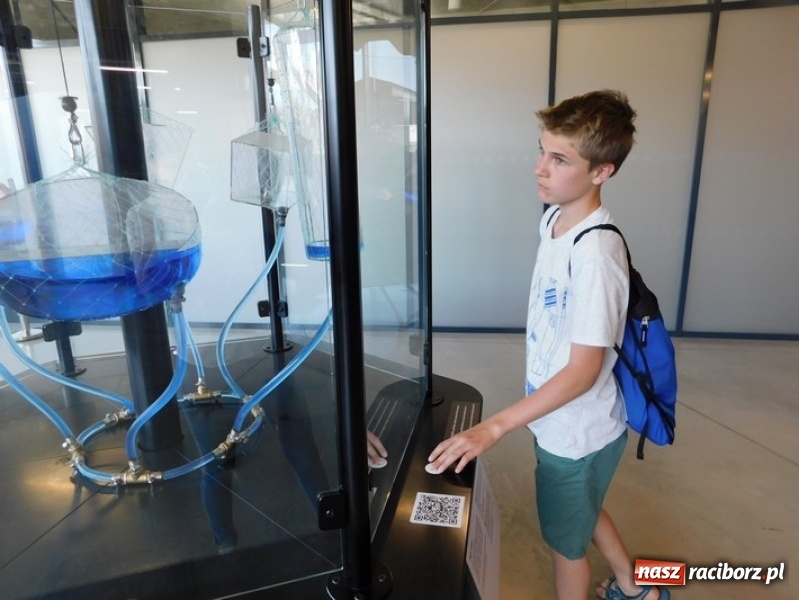 Zdjęcie w galerii na portalu naszraciborz.pl: Wspólna nauka drogą do sukcesu. Uczniowie szkoły na Ostrogu realizowali projekt międzynarodowy wiadomości z regionu