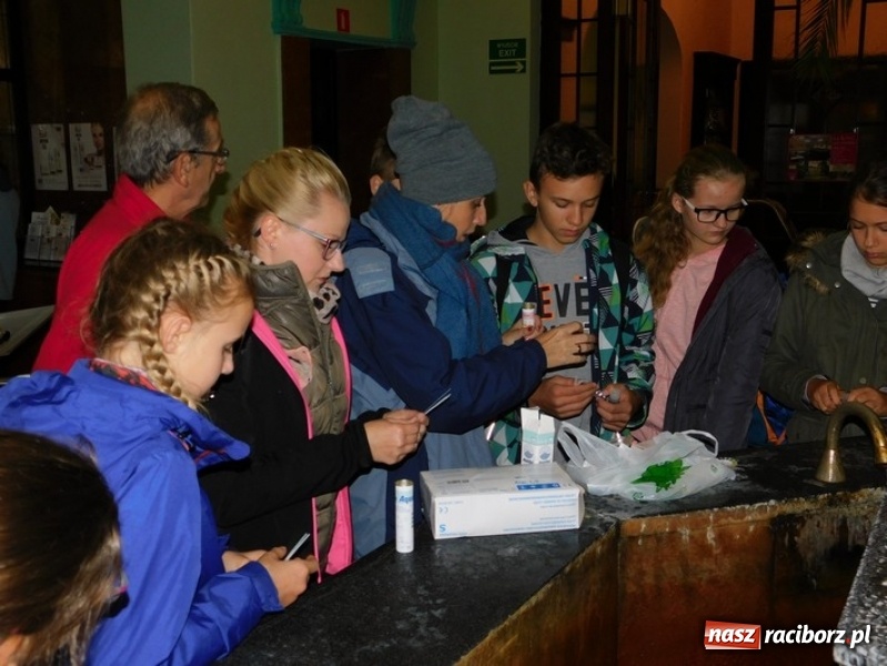 Zdjęcie w galerii na portalu naszraciborz.pl: Wspólna nauka drogą do sukcesu. Uczniowie szkoły na Ostrogu realizowali projekt międzynarodowy wiadomości z regionu