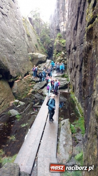 Zdjęcie w galerii na portalu naszraciborz.pl: Wspólna nauka drogą do sukcesu. Uczniowie szkoły na Ostrogu realizowali projekt międzynarodowy wiadomości z regionu