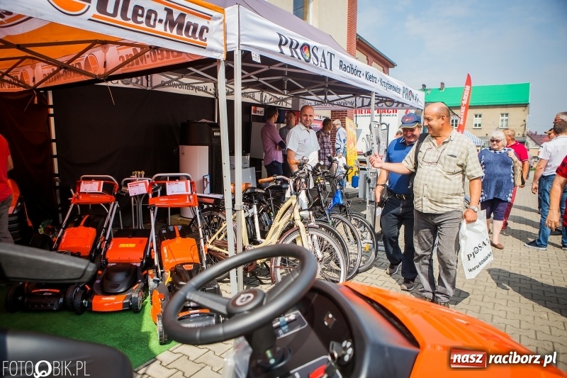 Zdjęcie w galerii na portalu naszraciborz.pl: Ruszyła XVIII Eko-Wystawa w Pietrowicach Wielkich  wiadomości z regionu