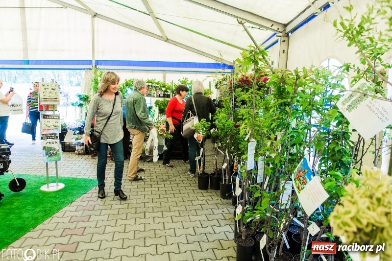 Zdjęcie w galerii na portalu naszraciborz.pl: Ruszyła XVIII Eko-Wystawa w Pietrowicach Wielkich  wiadomości z regionu