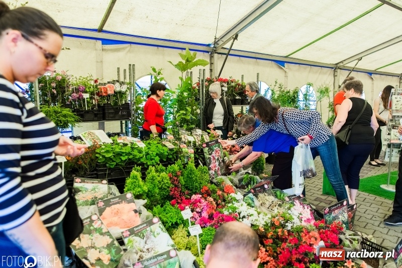 Zdjęcie w galerii na portalu naszraciborz.pl: Ruszyła XVIII Eko-Wystawa w Pietrowicach Wielkich  wiadomości z regionu