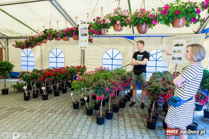 Zdjęcie w galerii na portalu naszraciborz.pl: Ruszyła XVIII Eko-Wystawa w Pietrowicach Wielkich  wiadomości z regionu