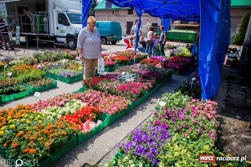 Zdjęcie w galerii na portalu naszraciborz.pl: Ruszyła XVIII Eko-Wystawa w Pietrowicach Wielkich  wiadomości z regionu