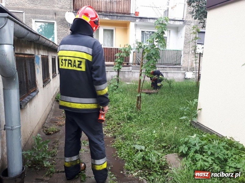 Zdjęcie w galerii na portalu naszraciborz.pl: Nawałnica nad Raciborzem. Błoto na drogach i zalane piwnice wiadomości z regionu