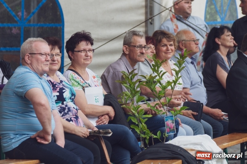 Zdjęcie w galerii na portalu naszraciborz.pl: Pierwszy dzień Eko-Wystawy za nami. W niedzielę Zakopower  wiadomości z regionu