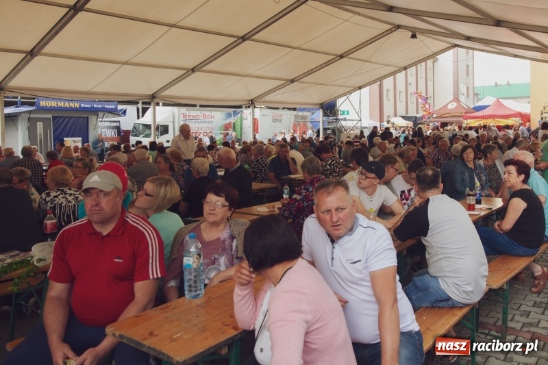 Zdjęcie w galerii na portalu naszraciborz.pl: Pierwszy dzień Eko-Wystawy za nami. W niedzielę Zakopower  wiadomości z regionu