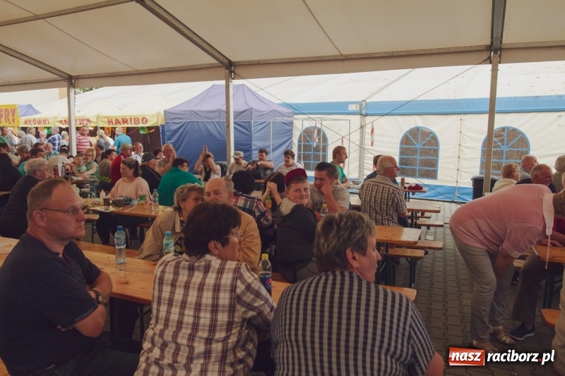 Zdjęcie w galerii na portalu naszraciborz.pl: Pierwszy dzień Eko-Wystawy za nami. W niedzielę Zakopower  wiadomości z regionu