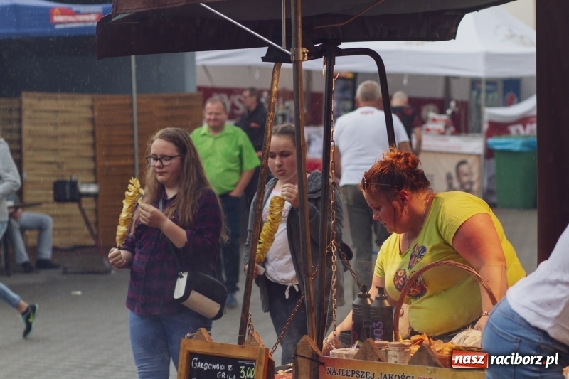 Zdjęcie w galerii na portalu naszraciborz.pl: Pierwszy dzień Eko-Wystawy za nami. W niedzielę Zakopower  wiadomości z regionu