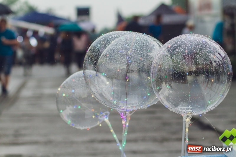 Zdjęcie w galerii na portalu naszraciborz.pl: Pierwszy dzień Eko-Wystawy za nami. W niedzielę Zakopower  wiadomości z regionu