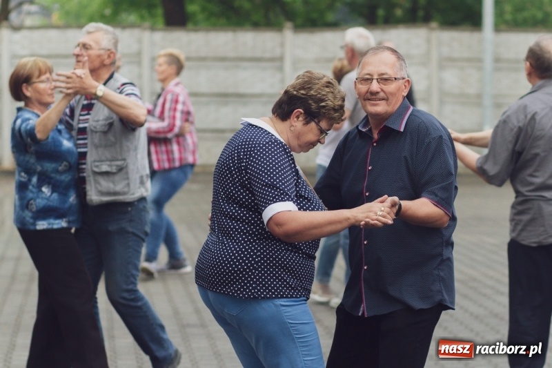 Zdjęcie w galerii na portalu naszraciborz.pl: Pierwszy dzień Eko-Wystawy za nami. W niedzielę Zakopower  wiadomości z regionu