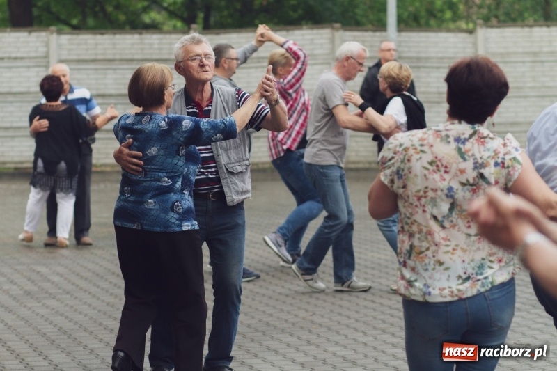 Zdjęcie w galerii na portalu naszraciborz.pl: Pierwszy dzień Eko-Wystawy za nami. W niedzielę Zakopower  wiadomości z regionu