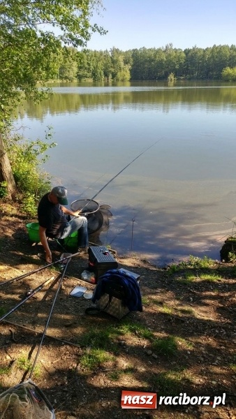 Zdjęcie w galerii na portalu naszraciborz.pl: Raciborski OSiR zaprosił dziś na rodzinne wędkowanie na Babiczoku wiadomości z regionu
