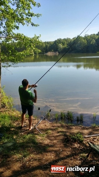 Zdjęcie w galerii na portalu naszraciborz.pl: Raciborski OSiR zaprosił dziś na rodzinne wędkowanie na Babiczoku wiadomości z regionu