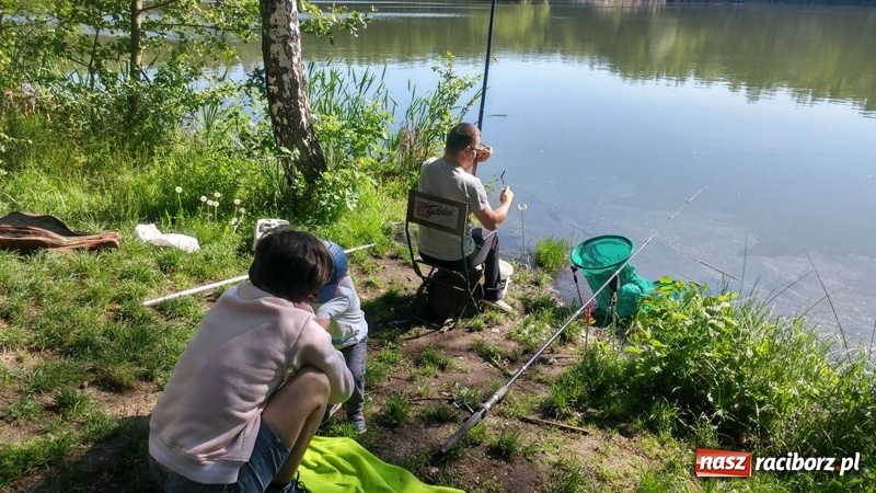 Zdjęcie w galerii na portalu naszraciborz.pl: Raciborski OSiR zaprosił dziś na rodzinne wędkowanie na Babiczoku wiadomości z regionu