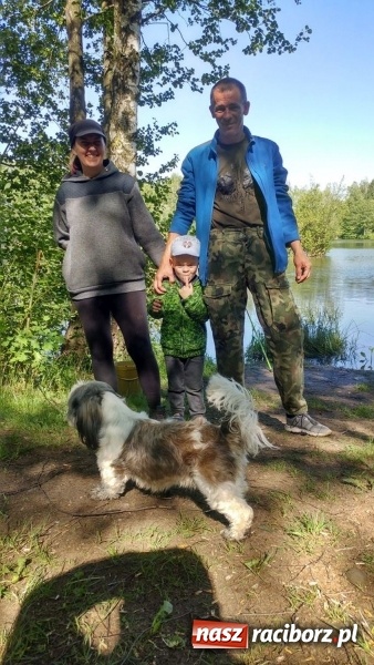 Zdjęcie w galerii na portalu naszraciborz.pl: Raciborski OSiR zaprosił dziś na rodzinne wędkowanie na Babiczoku wiadomości z regionu