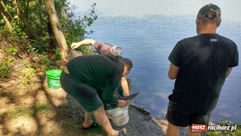 Zdjęcie w galerii na portalu naszraciborz.pl: Raciborski OSiR zaprosił dziś na rodzinne wędkowanie na Babiczoku wiadomości z regionu