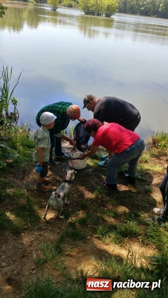 Zdjęcie w galerii na portalu naszraciborz.pl: Raciborski OSiR zaprosił dziś na rodzinne wędkowanie na Babiczoku wiadomości z regionu