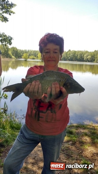 Zdjęcie w galerii na portalu naszraciborz.pl: Raciborski OSiR zaprosił dziś na rodzinne wędkowanie na Babiczoku wiadomości z regionu