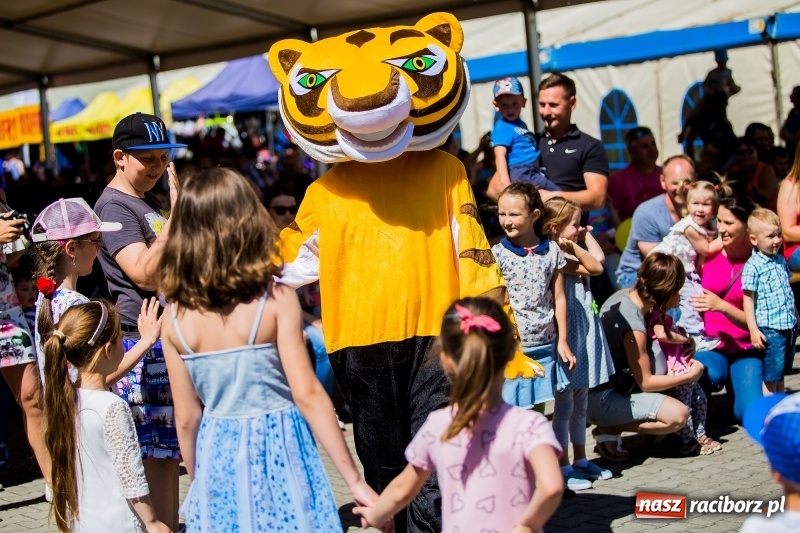 Zdjęcie w galerii na portalu naszraciborz.pl: XIX pietrowicka Eko-Wystawa. Jedna z największych imprez w regionie już w maju wiadomości z regionu