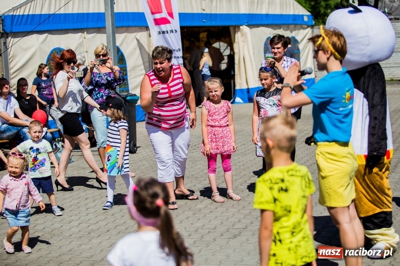 Zdjęcie w galerii na portalu naszraciborz.pl: XIX pietrowicka Eko-Wystawa. Jedna z największych imprez w regionie już w maju wiadomości z regionu