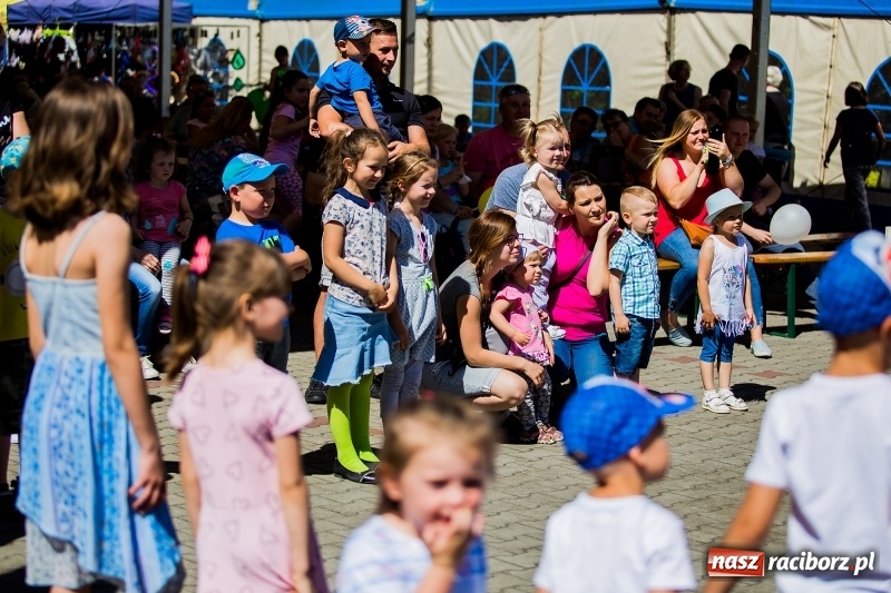Zdjęcie w galerii na portalu naszraciborz.pl: XIX pietrowicka Eko-Wystawa. Jedna z największych imprez w regionie już w maju wiadomości z regionu