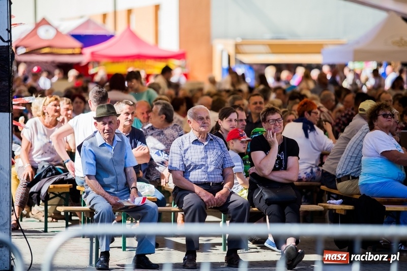 Zdjęcie w galerii na portalu naszraciborz.pl: XIX pietrowicka Eko-Wystawa. Jedna z największych imprez w regionie już w maju wiadomości z regionu