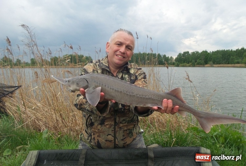 Zdjęcie w galerii na portalu naszraciborz.pl: Monitoring, domki wędkarskie i prąd dla wszystkich. Łowiska Babiczok w gminie Nędza rozbudowują się wiadomości z regionu
