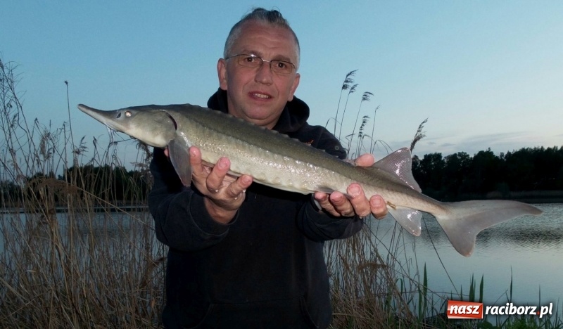 Zdjęcie w galerii na portalu naszraciborz.pl: Monitoring, domki wędkarskie i prąd dla wszystkich. Łowiska Babiczok w gminie Nędza rozbudowują się wiadomości z regionu