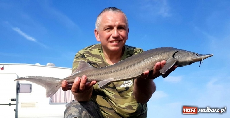 Zdjęcie w galerii na portalu naszraciborz.pl: Monitoring, domki wędkarskie i prąd dla wszystkich. Łowiska Babiczok w gminie Nędza rozbudowują się wiadomości z regionu