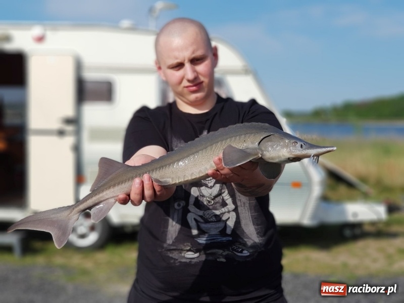 Zdjęcie w galerii na portalu naszraciborz.pl: Monitoring, domki wędkarskie i prąd dla wszystkich. Łowiska Babiczok w gminie Nędza rozbudowują się wiadomości z regionu