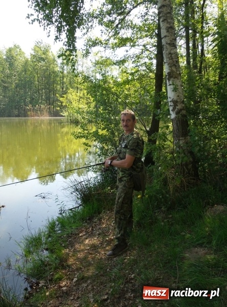 Zdjęcie w galerii na portalu naszraciborz.pl: Monitoring, domki wędkarskie i prąd dla wszystkich. Łowiska Babiczok w gminie Nędza rozbudowują się wiadomości z regionu