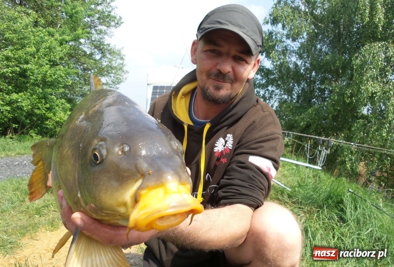 Zdjęcie w galerii na portalu naszraciborz.pl: Monitoring, domki wędkarskie i prąd dla wszystkich. Łowiska Babiczok w gminie Nędza rozbudowują się wiadomości z regionu