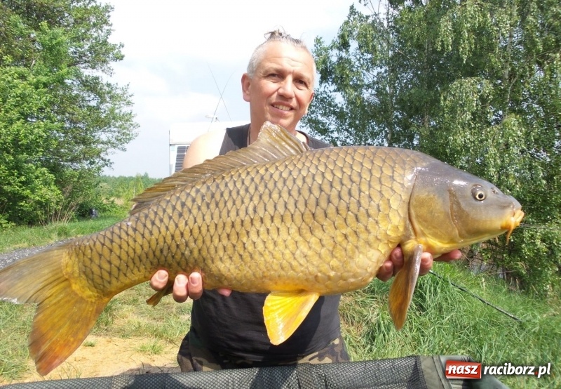 Zdjęcie w galerii na portalu naszraciborz.pl: Monitoring, domki wędkarskie i prąd dla wszystkich. Łowiska Babiczok w gminie Nędza rozbudowują się wiadomości z regionu