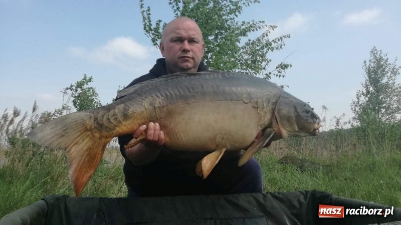 Zdjęcie w galerii na portalu naszraciborz.pl: Monitoring, domki wędkarskie i prąd dla wszystkich. Łowiska Babiczok w gminie Nędza rozbudowują się wiadomości z regionu