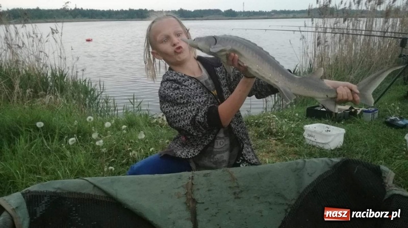 Zdjęcie w galerii na portalu naszraciborz.pl: Monitoring, domki wędkarskie i prąd dla wszystkich. Łowiska Babiczok w gminie Nędza rozbudowują się wiadomości z regionu