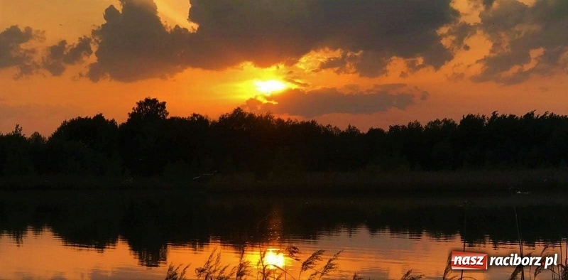 Zdjęcie w galerii na portalu naszraciborz.pl: Monitoring, domki wędkarskie i prąd dla wszystkich. Łowiska Babiczok w gminie Nędza rozbudowują się wiadomości z regionu