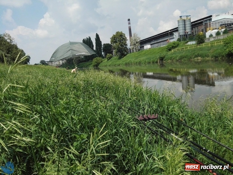 Zdjęcie w galerii na portalu naszraciborz.pl: Tomasz Reichel zwycięzcą zawodów Odra 2018 wiadomości z regionu