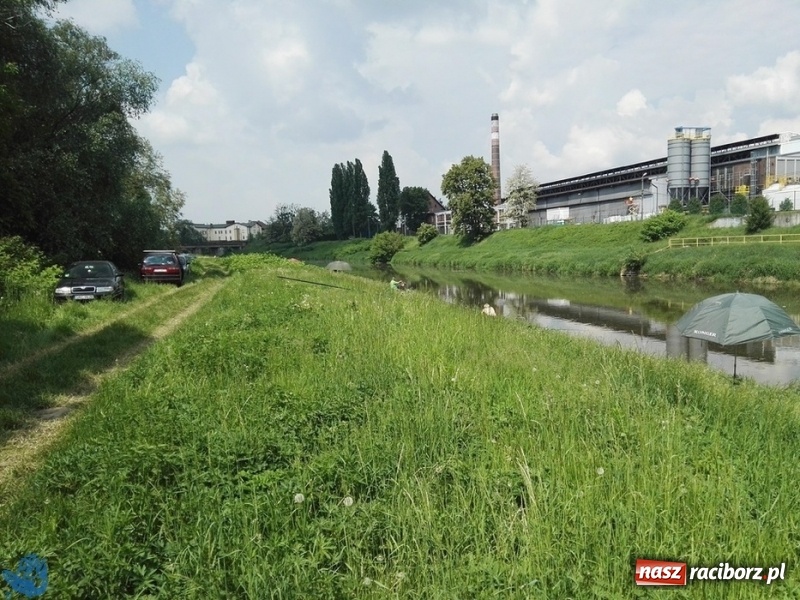 Zdjęcie w galerii na portalu naszraciborz.pl: Tomasz Reichel zwycięzcą zawodów Odra 2018 wiadomości z regionu