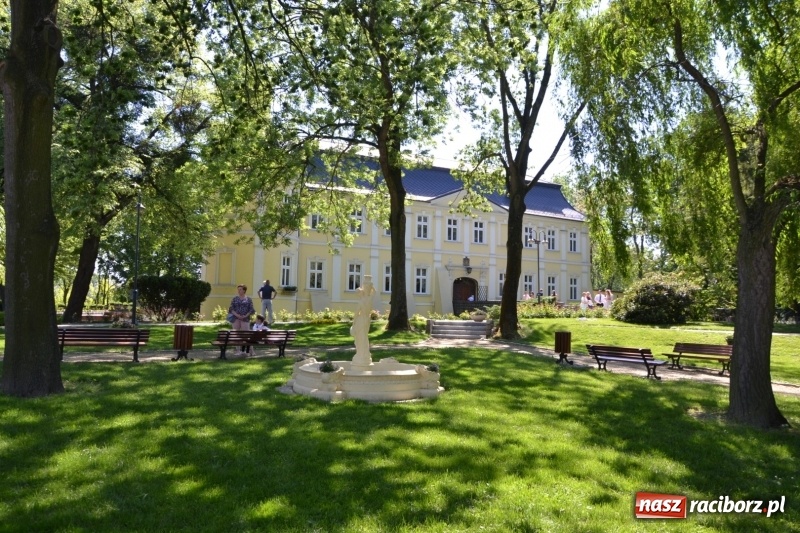 Zdjęcie w galerii na portalu naszraciborz.pl: Majowy festyn przy zamku w Chałupkach  wiadomości z regionu