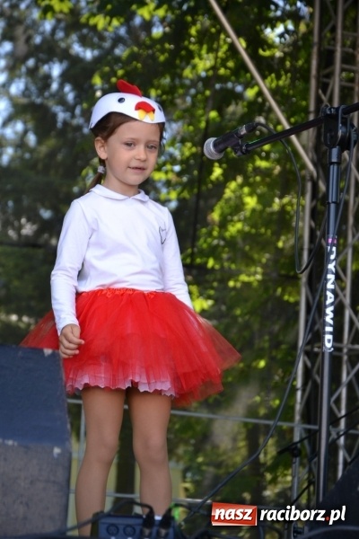 Zdjęcie w galerii na portalu naszraciborz.pl: Majowy festyn przy zamku w Chałupkach  wiadomości z regionu