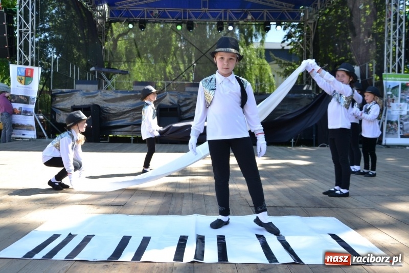 Zdjęcie w galerii na portalu naszraciborz.pl: Majowy festyn przy zamku w Chałupkach  wiadomości z regionu