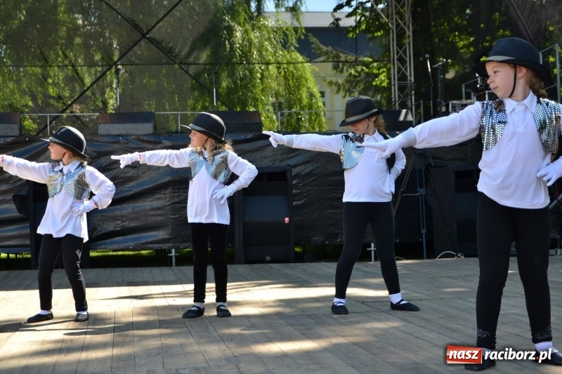 Zdjęcie w galerii na portalu naszraciborz.pl: Majowy festyn przy zamku w Chałupkach  wiadomości z regionu
