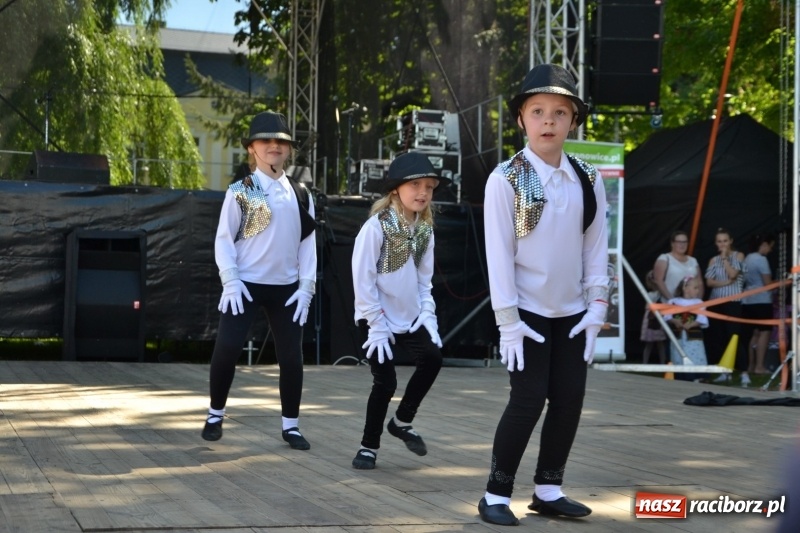 Zdjęcie w galerii na portalu naszraciborz.pl: Majowy festyn przy zamku w Chałupkach  wiadomości z regionu