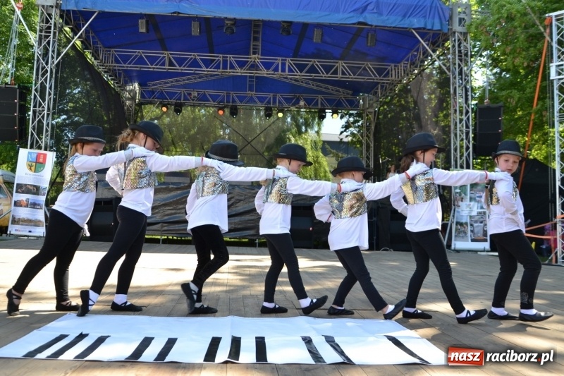 Zdjęcie w galerii na portalu naszraciborz.pl: Majowy festyn przy zamku w Chałupkach  wiadomości z regionu