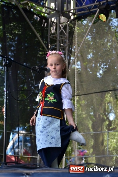Zdjęcie w galerii na portalu naszraciborz.pl: Majowy festyn przy zamku w Chałupkach  wiadomości z regionu