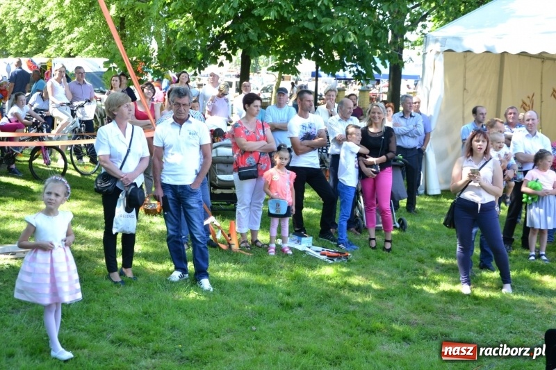 Zdjęcie w galerii na portalu naszraciborz.pl: Majowy festyn przy zamku w Chałupkach  wiadomości z regionu