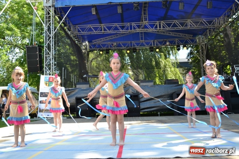 Zdjęcie w galerii na portalu naszraciborz.pl: Majowy festyn przy zamku w Chałupkach  wiadomości z regionu